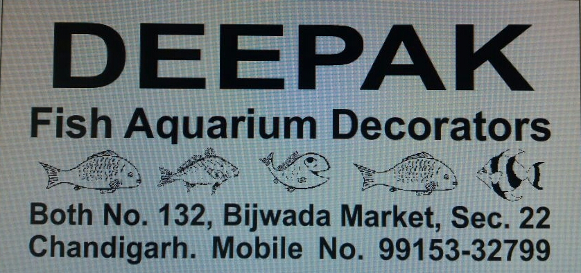 DEEPAK FISH AQUARIUM SHOP, Aquariums shop in 22d.Deepak aquarium 22d.in Chandigarh 
