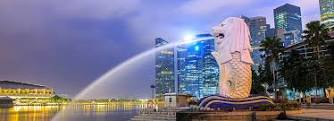 S G NETWORK COURIER SERVICES, NETWORK COURIER IN CHENNAI , SINGAPORE COURIER IN CHENNAI,