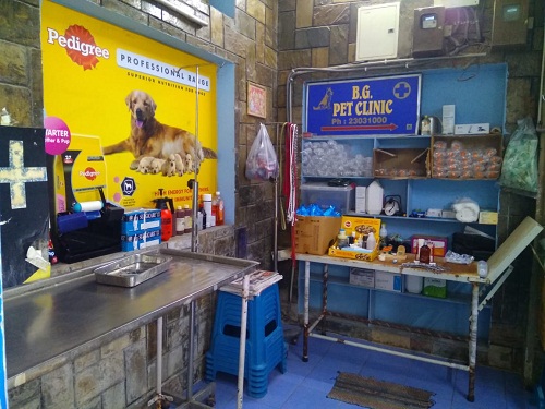 VETERINARY HOSPITAL IN KONDAPUR By : B G PET CLINIC & STORE, in City:  Hyderabad, Telangana, IN, Phone No.: +91******3113