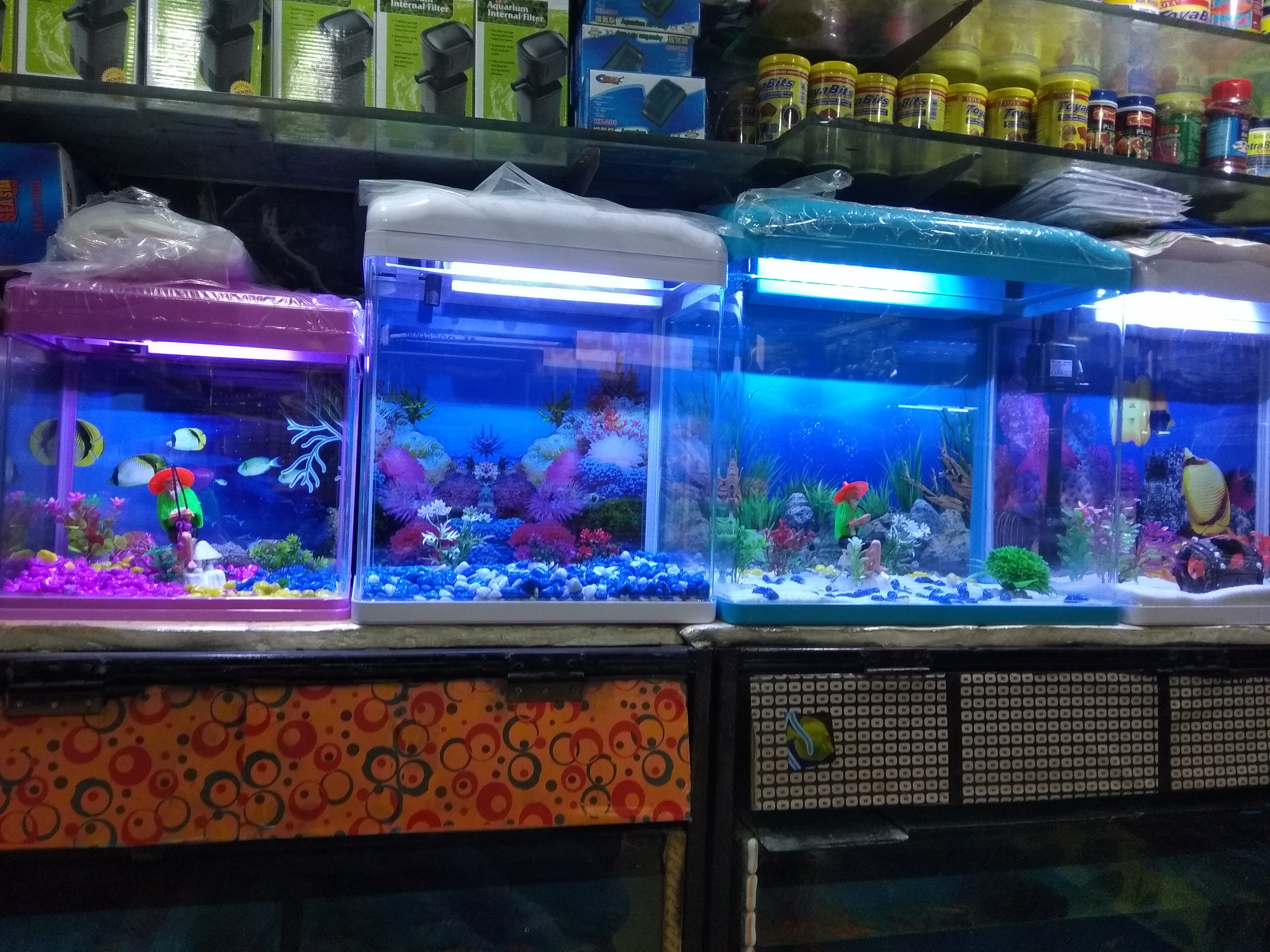 DEEPAK FISH AQUARIUM SHOP, Deepak fish aquarium shop 22D .. 9915332799