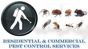 DOCTOR PEST SOLUTIONS, PEST CONTROL IN CHANDIGARH,BEST PEST CONTROL IN CHANDIGARH,PEST CONTROL SERVICES IN CHANDIGARH,PEST CONTROL COMPANY IN CHANDIGARH,PEST CONTROL PROFESSIONAL IN CHANDIGARH ,PEST CONTROL ,BEST PEST CONTROL ,PEST CONTROL 