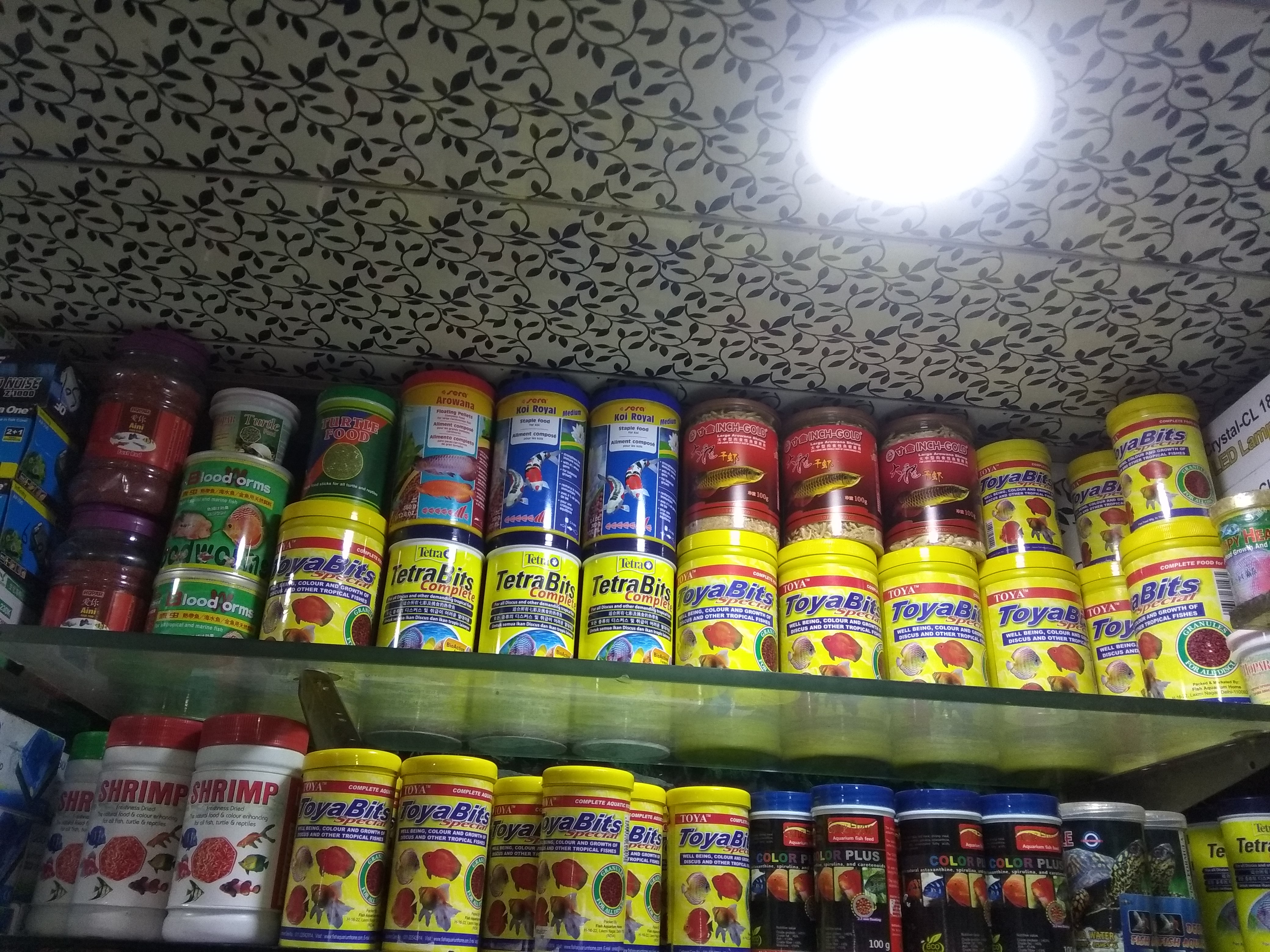 DEEPAK FISH AQUARIUM SHOP, Deepak fish aquarium shop 22D in Chandigarh 