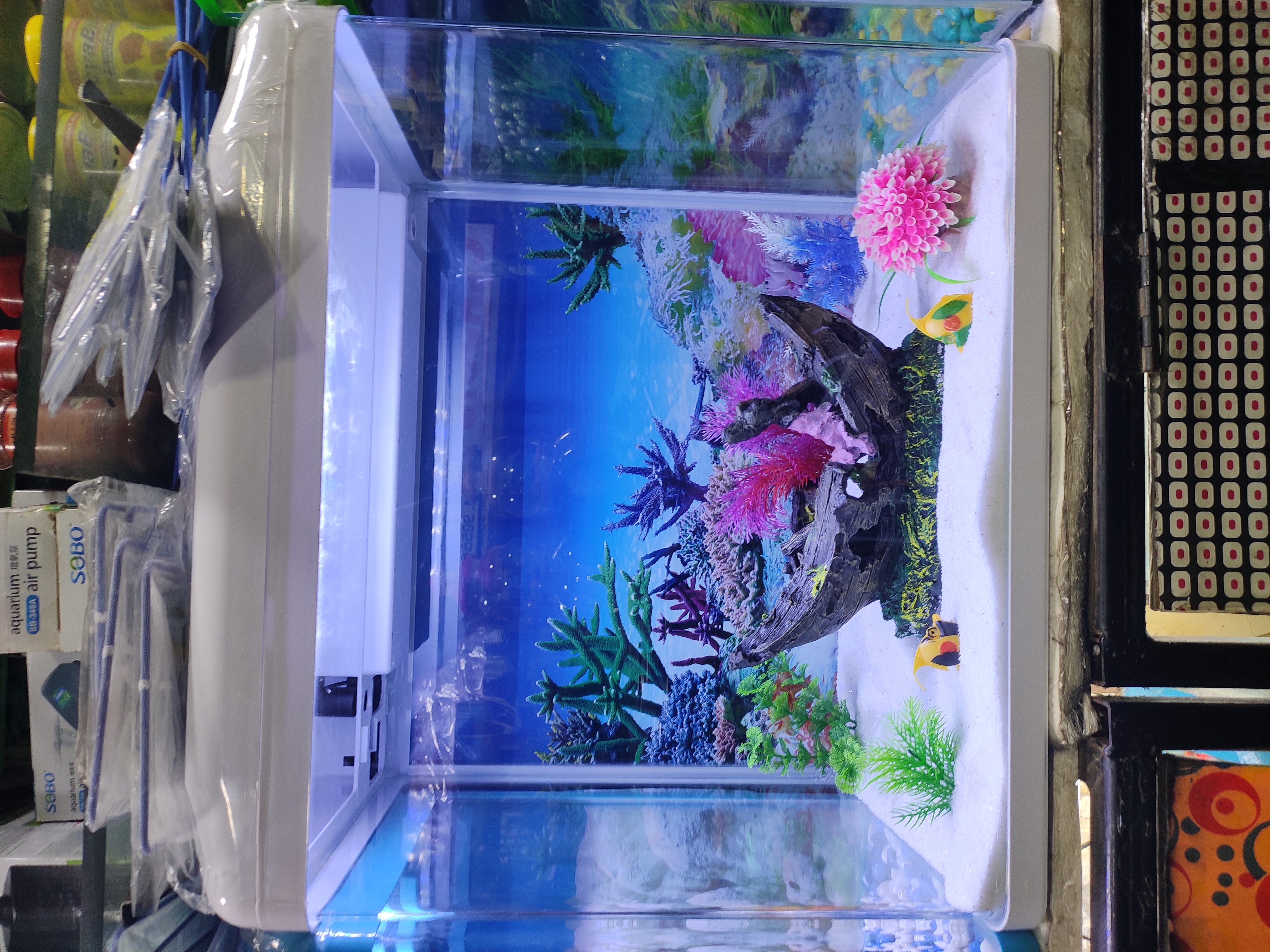 DEEPAK FISH AQUARIUM SHOP, Deepak fish aquarium shop sector 22D in Chandigarh