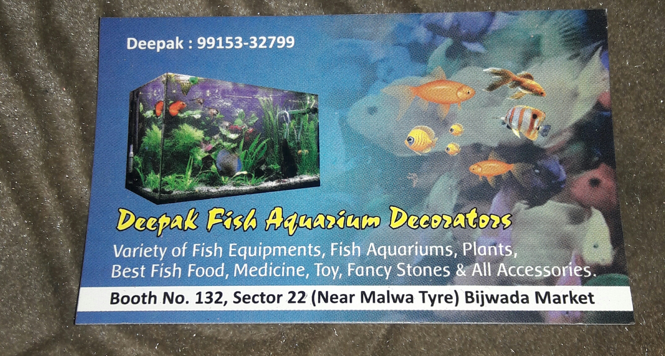 DEEPAK FISH AQUARIUM SHOP, Deepak fish Aquariums 22d.in Chandigarh pet shop.