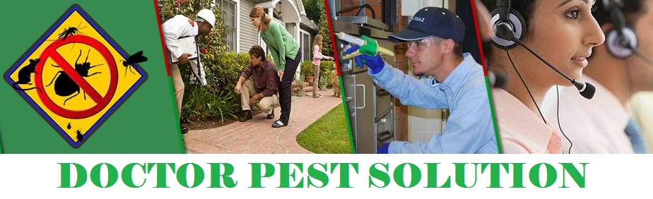 DOCTOR PEST SOLUTIONS, PEST CONTROL IN CHANDIGARH,PEST CONTROL IN MOHALI,PEST CONTROL IN PANCHKULA,PEST CONTROL IN BADDI ,PEST CONTROL IN NALAGRAH,INDUSTRIAL COMMERCIAL PEST CONTROL IN CHANDIGARH MOHALI PANCHKULA BADDI NALAGARH,PEST CONTROL