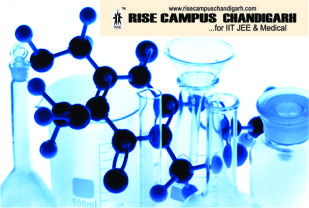 RISE CAMPUS  CHANDIGARH, Top coaching centre in Chandigarh for MBBS entrance,MBBS entrance coaching in Chandigarh,Chandigarh MBBS entrance coaching,Coaching preparation in Chandigarh for MBBS entrance,Coaching for MBBS in CHD