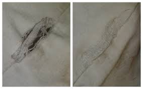 Balu's Modern Dry Cleaners, darning services in Hyderabad,darning services in kphb,darning services in jntu,darning services in ameerpet,darning services in srinagar colony,darning services in madhura nagar