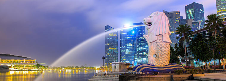 S G NETWORK COURIER SERVICES, *** NEXT DAY DELIVERY AT SINGAPORE ***