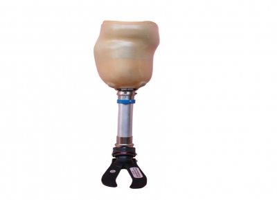 EVOLUTION, Artificial Limb in bangalore,Artificial Limbs bangalore,Artificial Limb center in bangalore,Artificial Limbs bangalore,Artificial Leg bangalore,Artificial Legs in bangalore,Artificial Limb in mysore