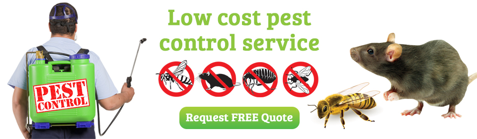 DOCTOR PEST SOLUTIONS, PEST CONTROL IN CHANDIGARH MOHALI PANCHKULA,PEST CONTROL SERVICES IN CHANDIGARH MOHALI PANCHKULA,TERMITE TREATMENT IN CHANDIGARH MOHALI PANCHKUKLA,COACKROCH TREATMENT IN CHANDIGARH MOHALI PANCHKULA