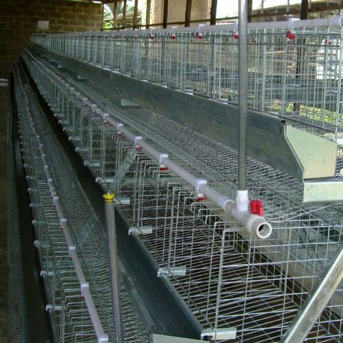 Layer Poultry Cages In Thane | V - Tech Agro Industries | Layer Poultry Cages In Thane, Layer Poultry Cages manufacturer In Thane, best Layer Poultry Cages In Thane, Best Layer Poultry manufacturer Cages In Thane - GL85254