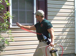 KALINKA PEST CONTROL SERVICES, PEST CONTROL IN AKURDI, PEST CONTROL SERVICES IN AKURDI, PEST CONTROL IN NIGDI, PEST CONTROL SERVICES IN NIGDI, PEST CONTROL IN NIGDI, AKURDI, BEST.