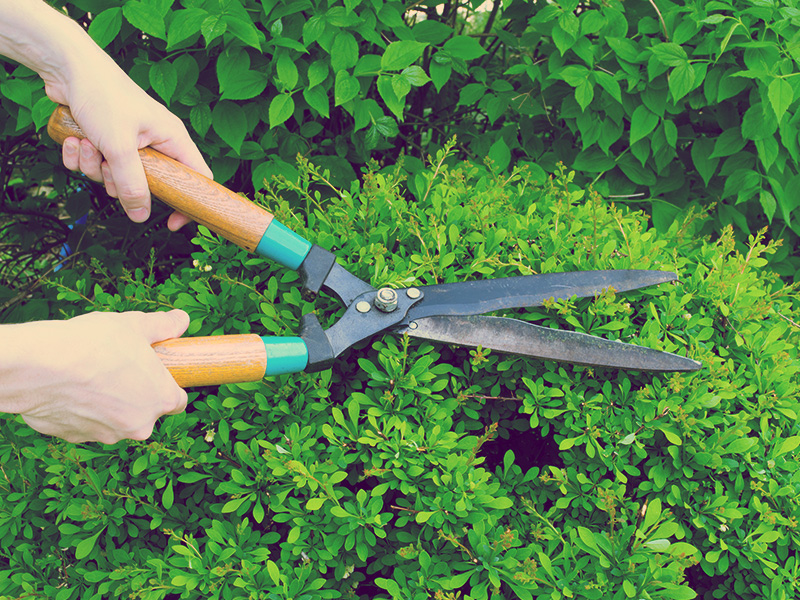 HARSH INTERIOR DESIGNER, LANDSCAPING DESIGNERS IN HINJEWADI, BEST LANDSCAPING DESIGNERS IN HINJEWADI, LANDSCAPING SERVICES IN HINJEWADI, BEST LANDSCAPING SERVICES IN HINJEWADI