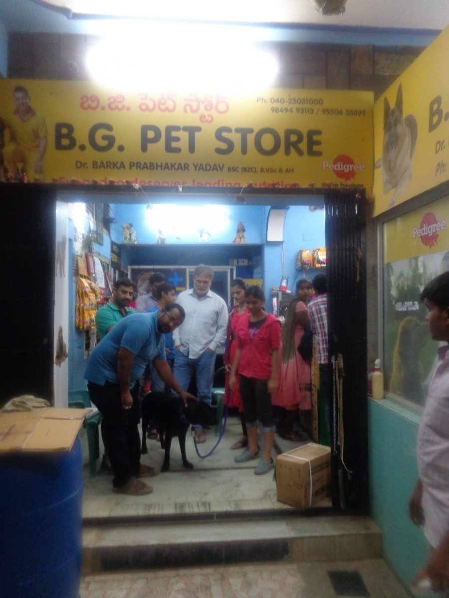 BACHUPALLY By : B G PET CLINIC & STORE, in City: Hyderabad, Telangana, IN,  Phone No.: +91******3113