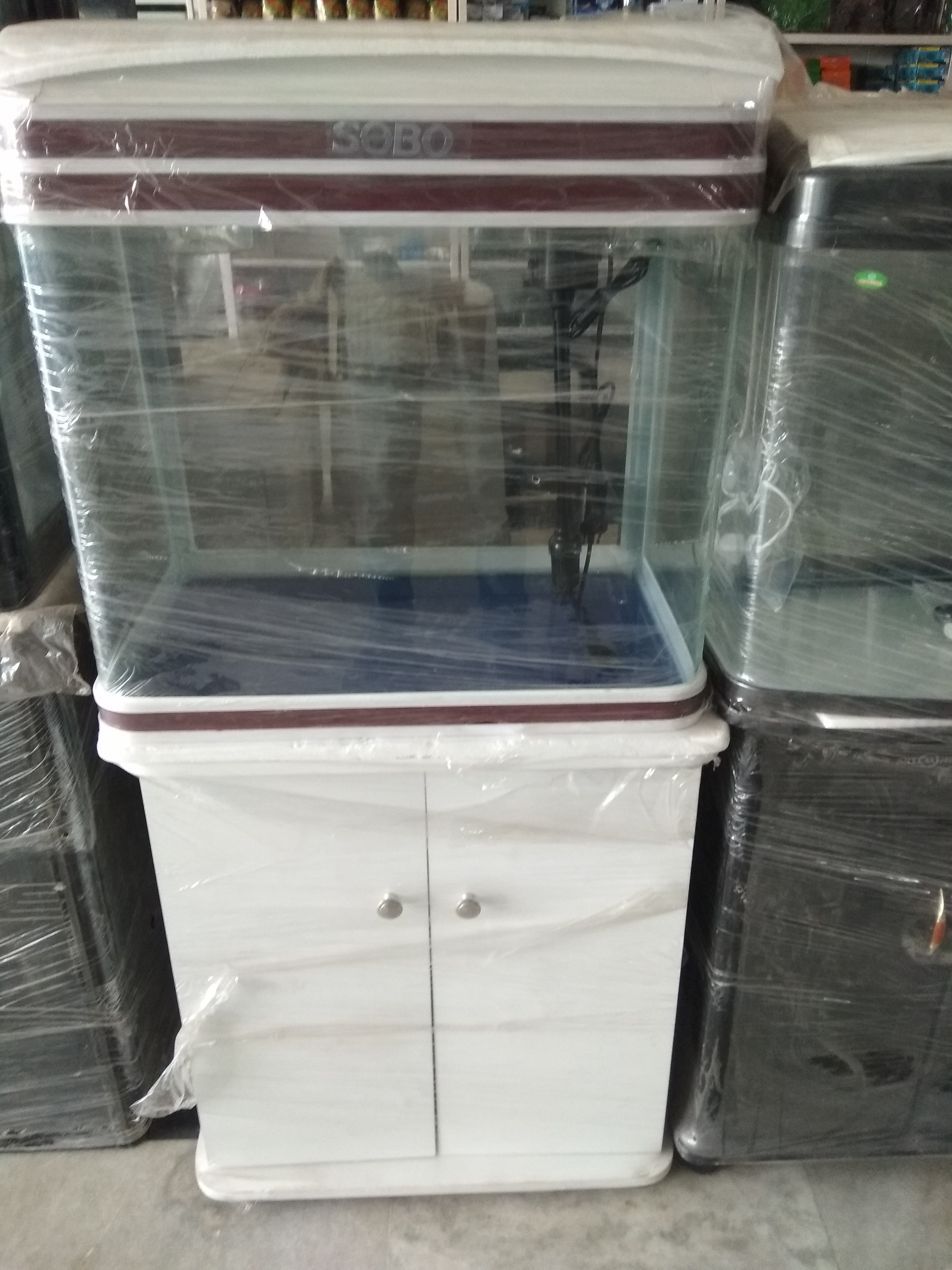 DEEPAK FISH AQUARIUM SHOP, Deepak fish aquarium shop 22 D in Chandigarh 9915332799