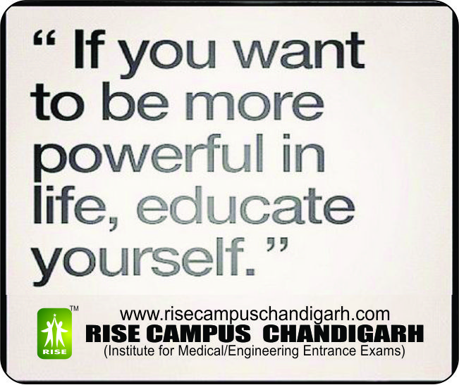 RISE CAMPUS CHANDIGARH, Best Coaching Center In Himachal For NEET,NEET Best Coaching In Himachal,Medical Coaching Center In Himachal,NEET Institute In Himachal,NEET Coaching 