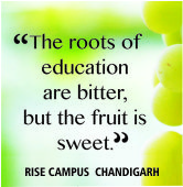 RISE CAMPUS  CHANDIGARH, Best institute for AIEEE in Chandigarh,Tricity institute for non medical,Best chemistry coaching in Chandigarh,Best physics coaching in Chandigarh