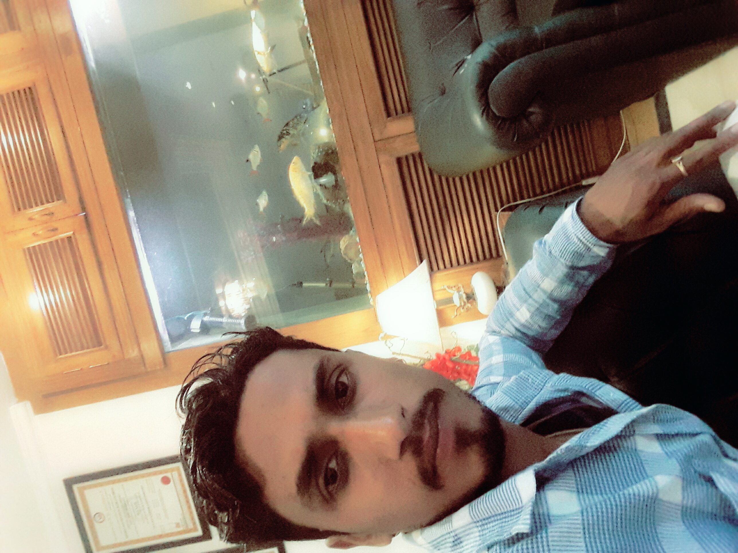 DEEPAK FISH AQUARIUM SHOP, Fish aquarium shop sector 22 D Chandigarh