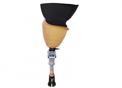 EVOLUTION, Artificial Limb hyderabad,Artificial Limbs in hyderabad,Artificial Limb clinic in hyderabad,Artificial Limb doctor hyderabad,Artificial Leg in hyderabad,Artificial Limbs hyderabad