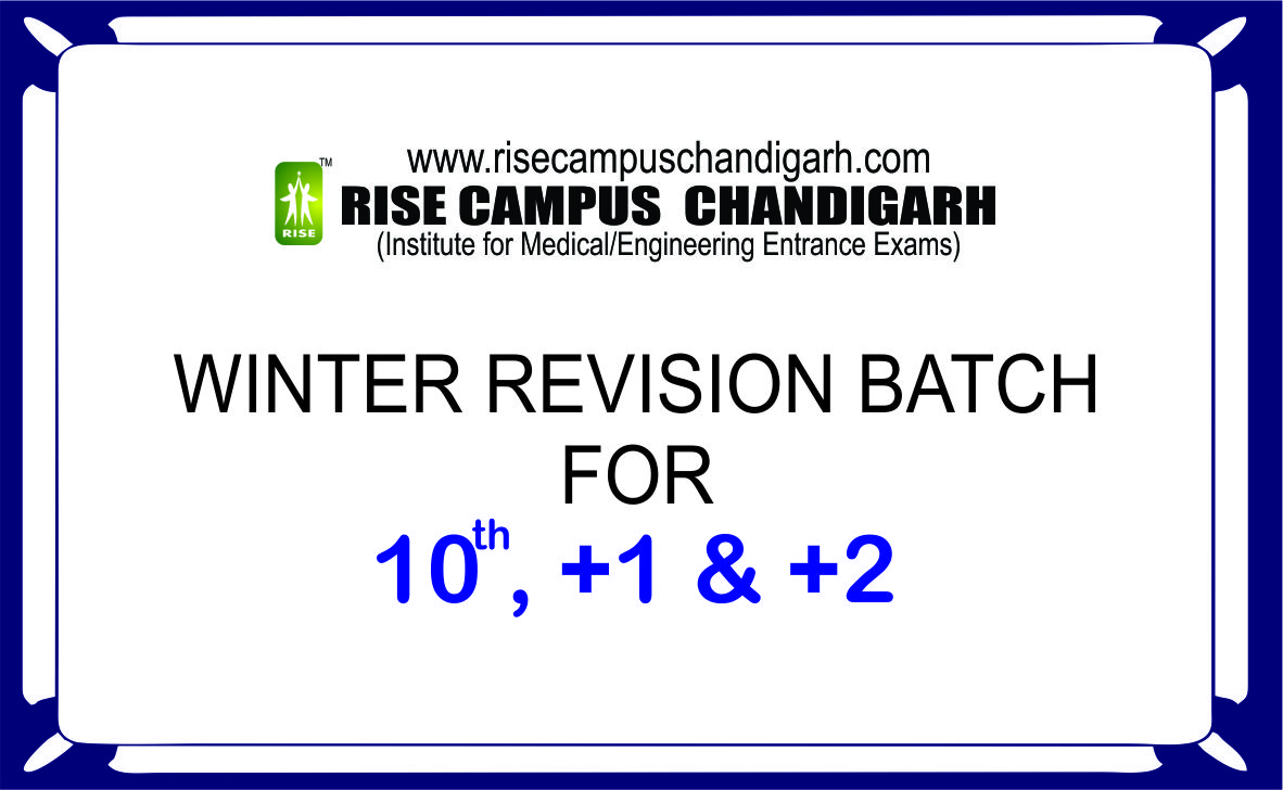 RISE CAMPUS CHANDIGARH, Revision Classes in Himachal,Winter Revision Classes in Himachal,Himachal Revision Classes,Top Revision Classes,Best Revision Classes in Himachal
