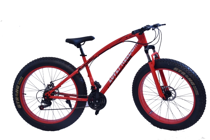 Fat Tyre Cycle Manufacturers In Chandigarh | AVERY FREEWHEEL (P) LTD. | Fat Tyre Cycle suppliers In Chandigarh, Fat Tyre Cycle retailers In Chandigarh, Fat Tyre Cycle sellers In Chandigarh, Fat Tyre Cycle dealers In Chandigarh, Fat Tyre Cycle wholesalers In Chandigarh - GL63541