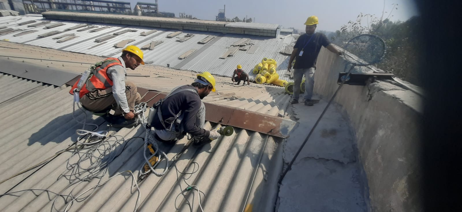 Re-Roofing of Existing Industrial Shed in Punjab | Mansarovar Products & Services | Re-roofing of existing industrial shed in Ludhiana, Industrial shed roof replacement in Hoshiarpur, Replacement of sheets in existing shed at Bathinda, Industrial shed roof replacement in  Mohali - GL120181