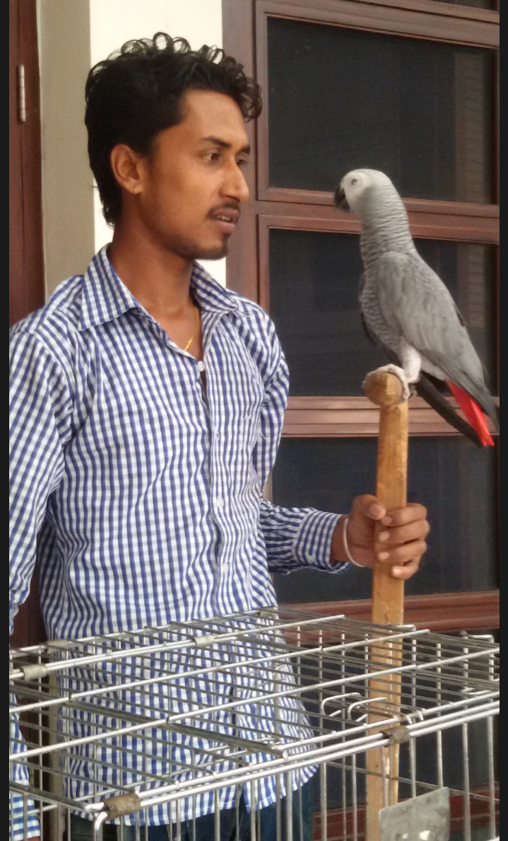 DEEPAK FISH AQUARIUM SHOP, Deepak fish Aquariums sectar 22D.in.9915332799.