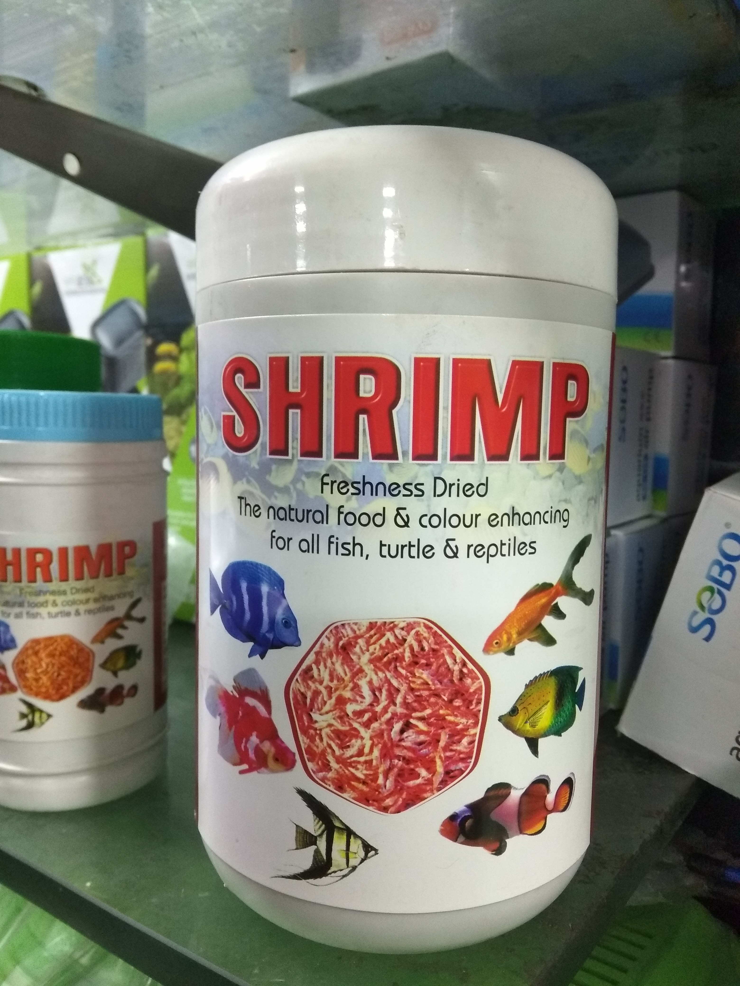 DEEPAK FISH AQUARIUM SHOP, Deepak fish aquarium 22D.in Chandigarh 9915332799