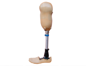EVOLUTION, Artificial Limb in Hyderabad,Artificial Limbs in Hyderabad,Artificial leg in Hyderabad,Artificial Leg manufacturers in Hyderabad,Artificial Limbs in vijayawada,Artificial Limb in vizag,visakhapatnam