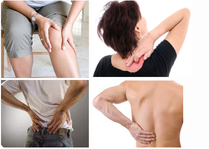 PRACHIN Organic & Natural Products, joint pain oil manufacturers in hyderabad,herbal joint pain oil suppliers in Hyderabad,herbal joint pain oil store in Hyderabad,herbal joint pain oil supplier in banjara hills,herbal joint pain oil