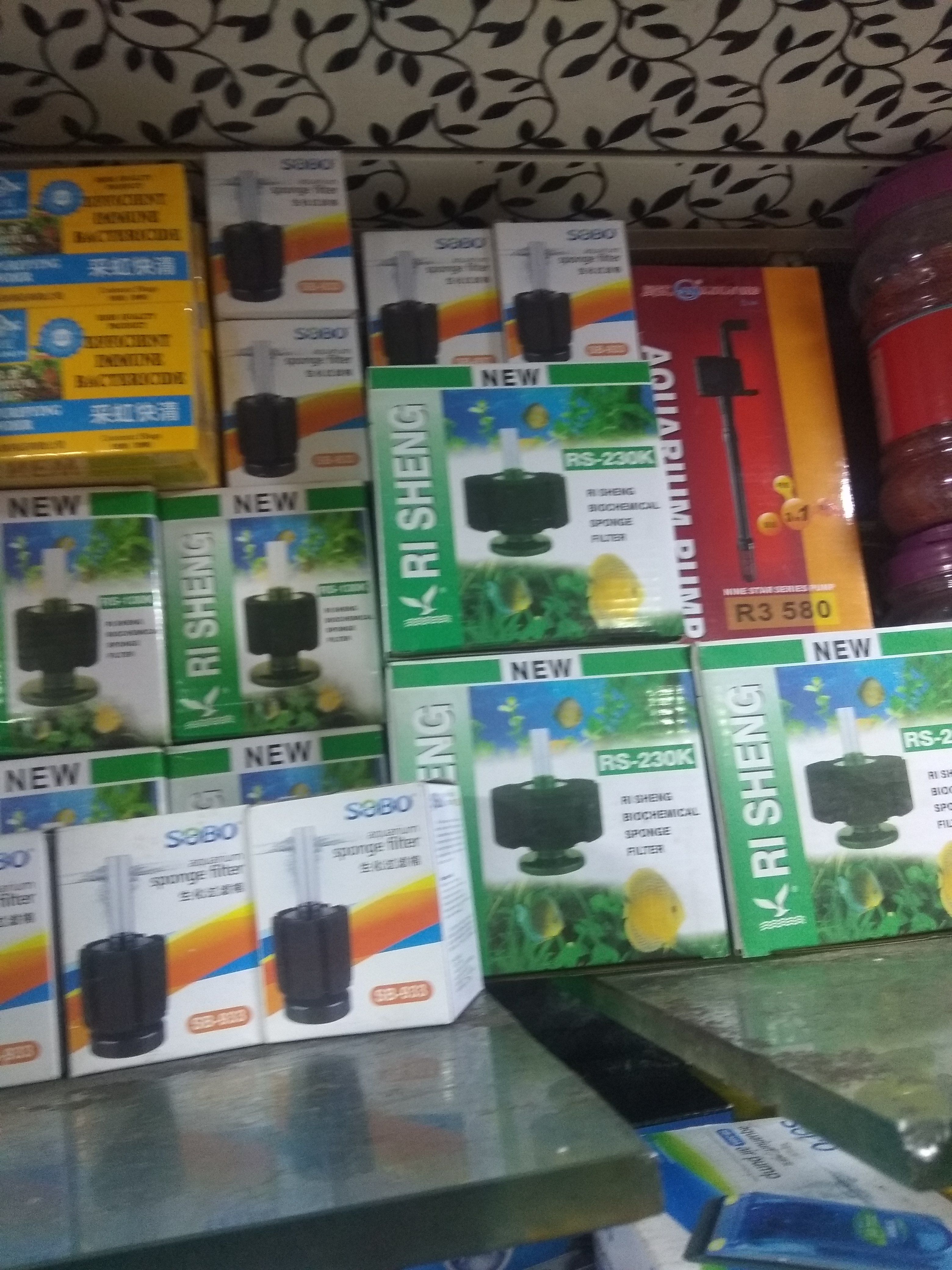 DEEPAK FISH AQUARIUM SHOP, Deepak fish aquarium shop 22D in Chandigarh