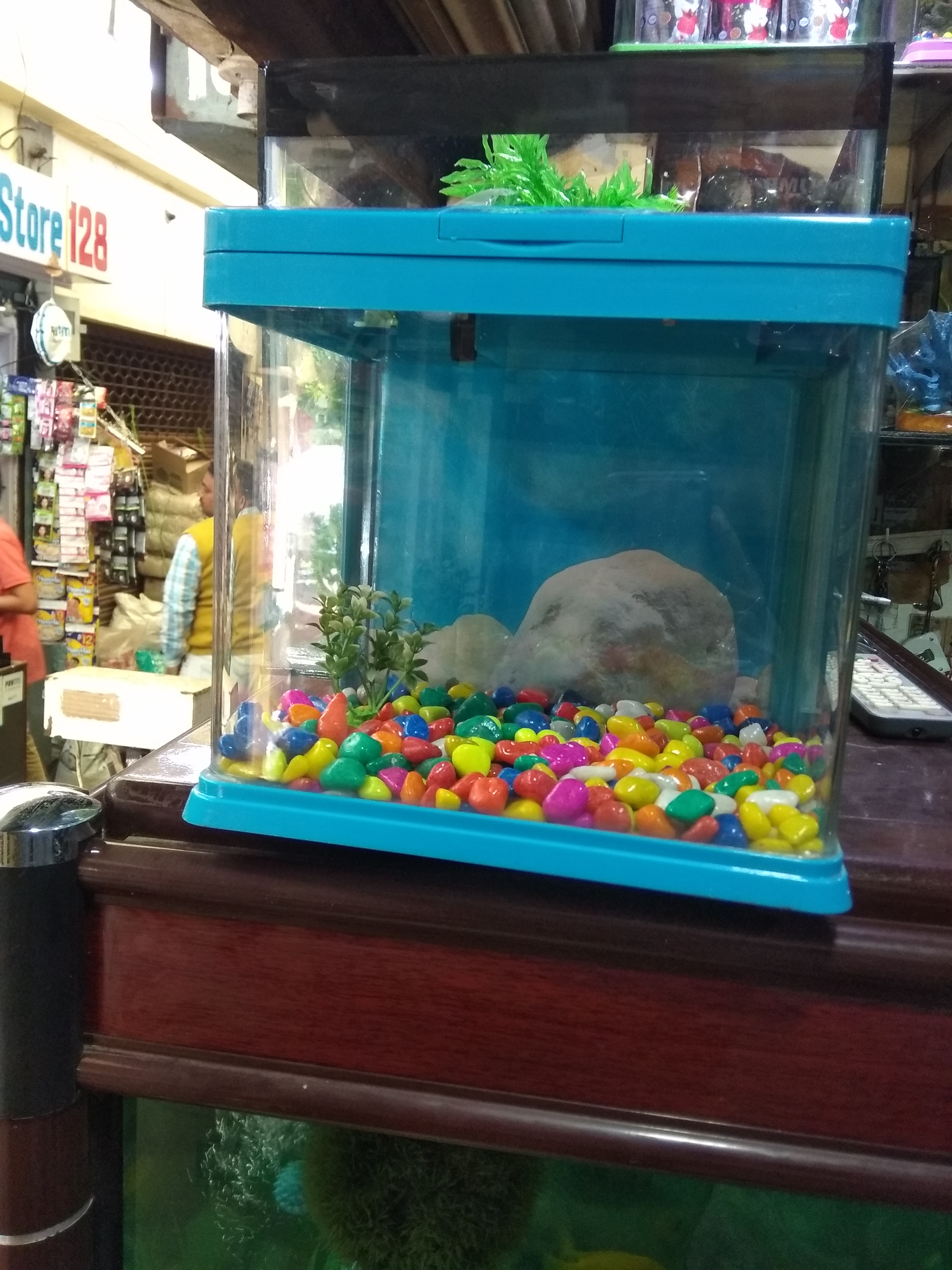 DEEPAK FISH AQUARIUM SHOP, Deepak fish aquarium shop 22D in Chandigarh 