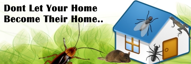 PEST CONTROL SERVICES IN CHANDIGARH  | DOCTOR PEST SOLUTIONS | BEST PEST CONTROL IN CHANDIGARH,PEST CONTROL IN CHANDIGARH,REGISTERED PEST CONTROL COMPANY IN CHANDIGARH,PEST CONTROL SERVICES IN CHANDIGARH - GL13543
