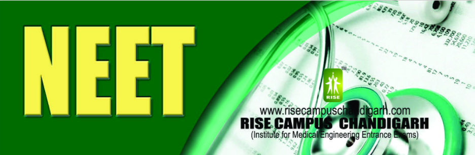 RISE CAMPUS CHANDIGARH, Best Coaching In Himachal For IIT JEE,Top One Coaching In Himachal For IIT JEE,IIT JEE Coaching In Himachal,IIT JEE Preparation In Himachal,IIT JEE 