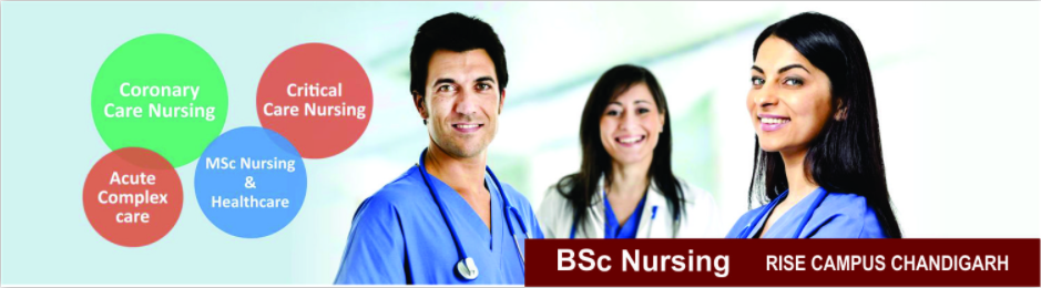 RISE CAMPUS CHANDIGARH, Coaching institute for BSc Nursing in Himachal,Top BSc Nursing institute in Himachal,BSc Nursing in Himachal,BSc Nursing preparation in Himachal,BSc 