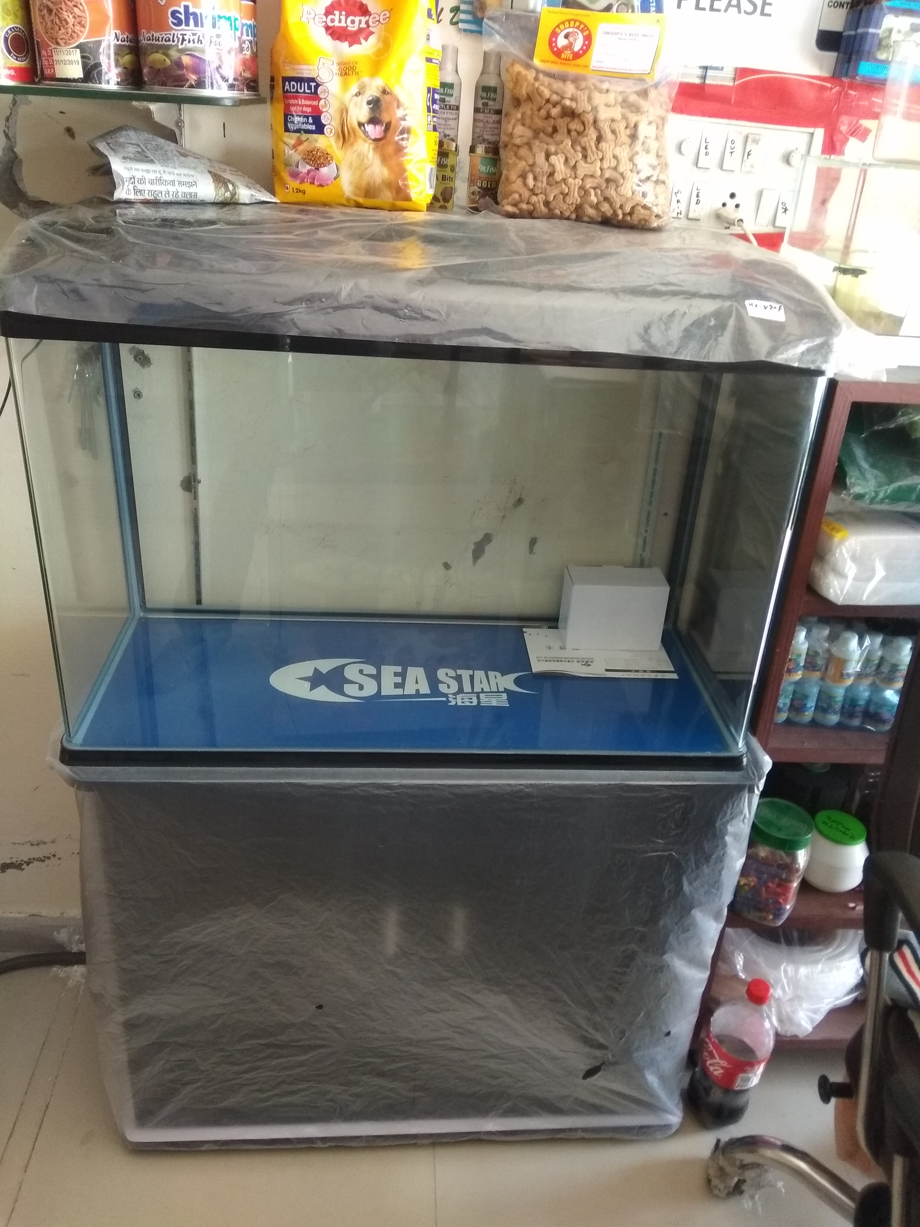 DEEPAK FISH AQUARIUM SHOP, Deepak fish aquarium shop 22D in Chandigarh 9915332799