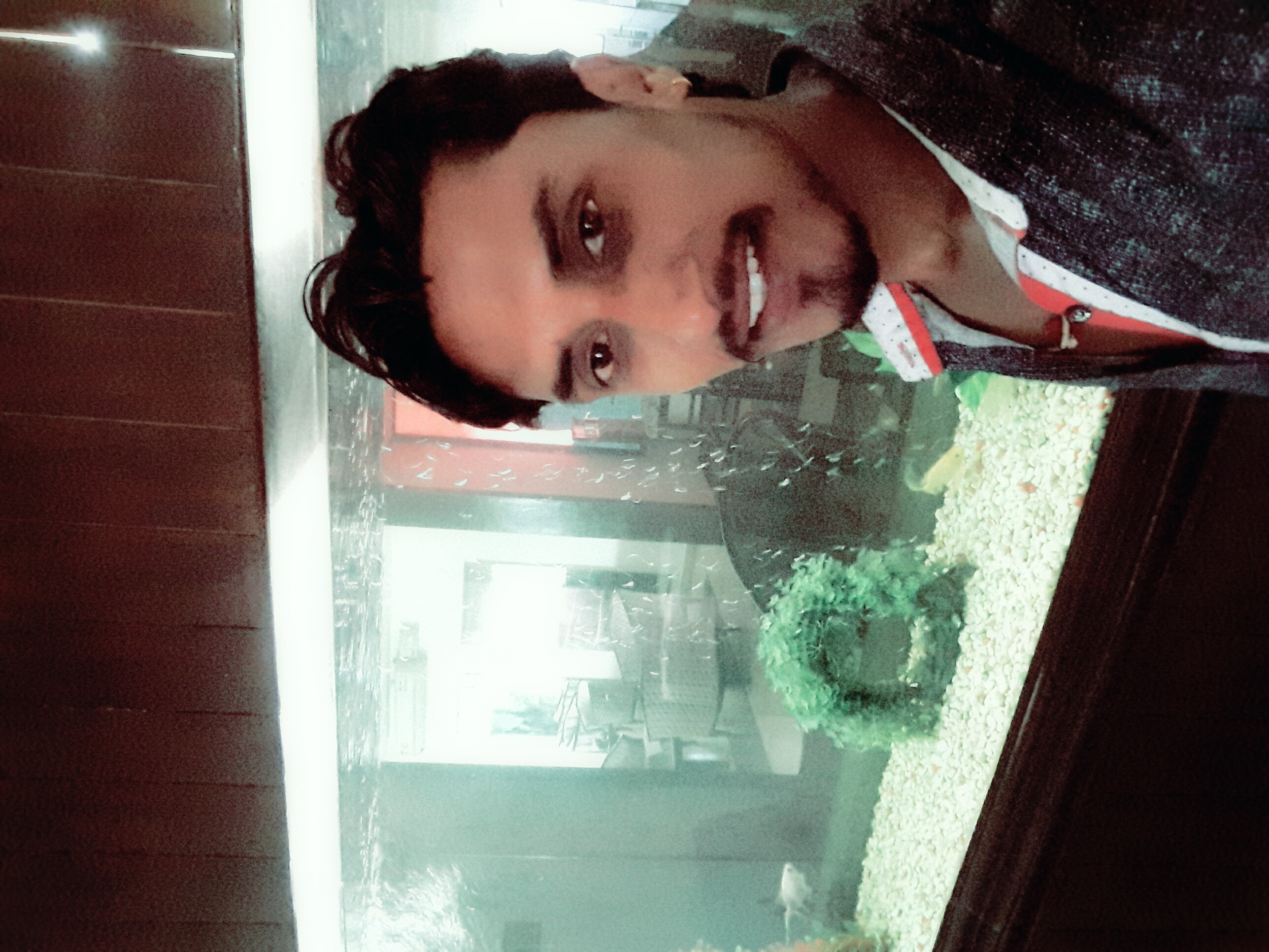 DEEPAK FISH AQUARIUM SHOP, Deepak fish Aquariums shop in 22d.Chandigarh..9915332799