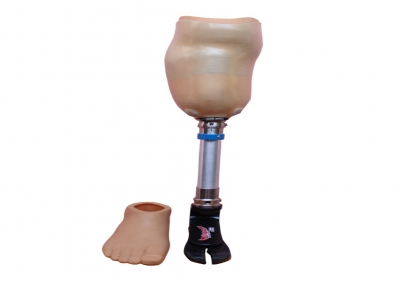 EVOLUTION, Artificial Limb in bangalore,Artificial Limbs bangalore,Artificial Limb center in bangalore,Artificial Limb manufacturers in bangalore,Artificial leg in bangalore,Artificial Legs bangalore,Artificial 