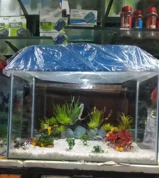 DEEPAK FISH AQUARIUM SHOP, Deepak fish aquarium shop 22D in Chandigarh 9915332799