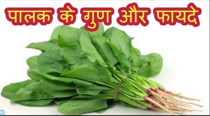 Palak [spinach] – पालक के खाने से सौंदर्य और शरीर में स्वास्थय लाभ | Tejasvini Kerala Ayurveda | Ayurvedic medicine in tricity,  Ayurvedic food,  Ayurvedic uphar,  Ayurvedic diet  - GL70291