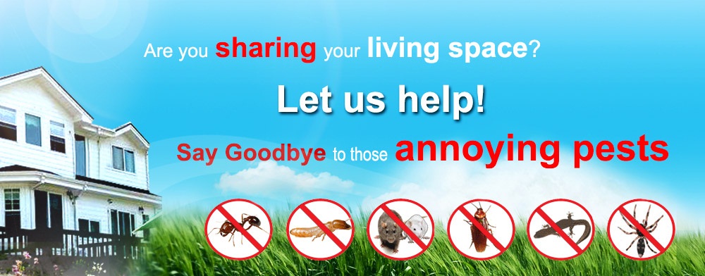 DOCTOR PEST SOLUTIONS, PEST CONTROL CHANDIGARH MOHALI PANCHKULA,PEST TREATMENT IN CHANDIGARH MOHALI PANCHKULKA,TERMITE TREATMENT IN CHANDIGARH MOHALI PANCHKUKLA.PEST CONTROL SERVICES IN PANCHKULA MOHALI CHANDIGARH,COCKROACH TREATMENT,TERMITE  