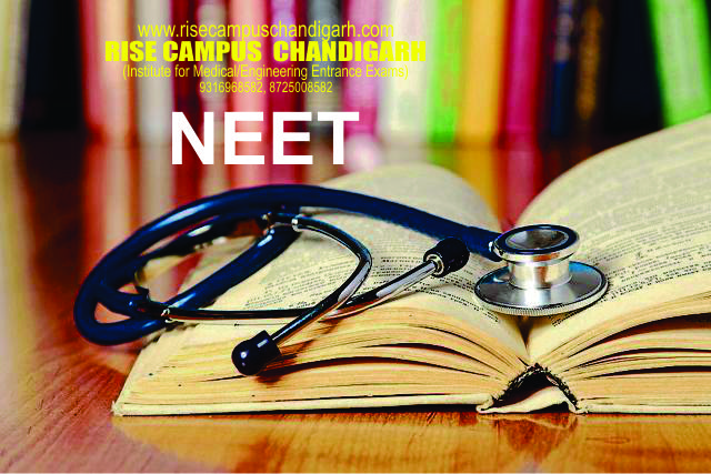 RISE CAMPUS  CHANDIGARH, Best NEET Coaching in Chandigarh,NEET Institute in Chandigarh,NEET best Coaching in Chandigarh,Best institute in Chandigarh for NEET,NEET institute