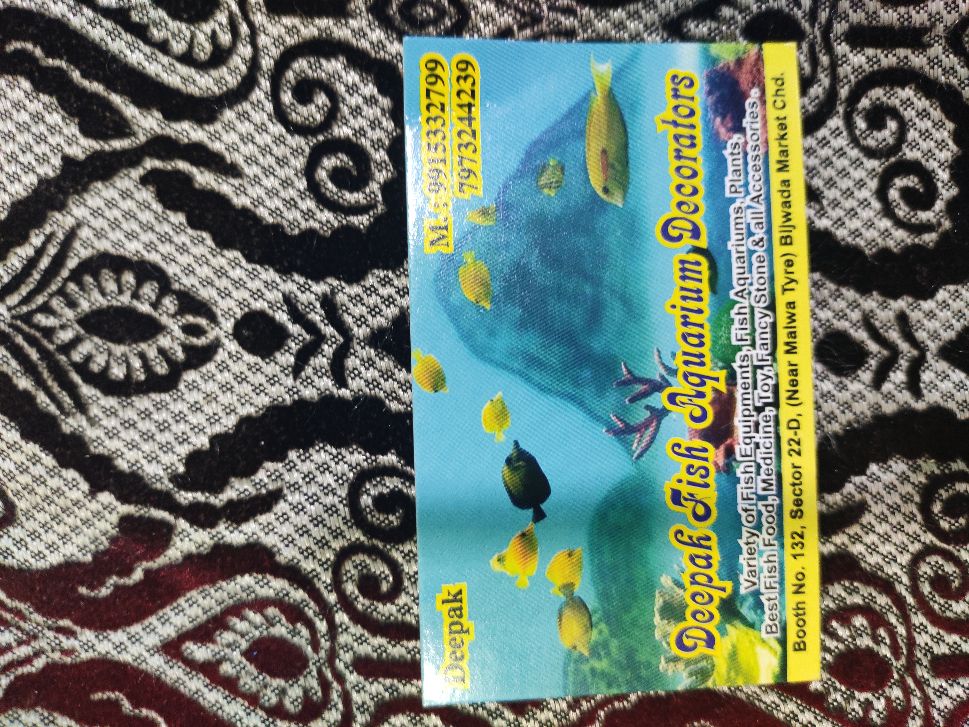 DEEPAK FISH AQUARIUM SHOP, Deepak 🐠🐋🐟 fish aquarium shop sector 22D in Chandigarh 9915332799