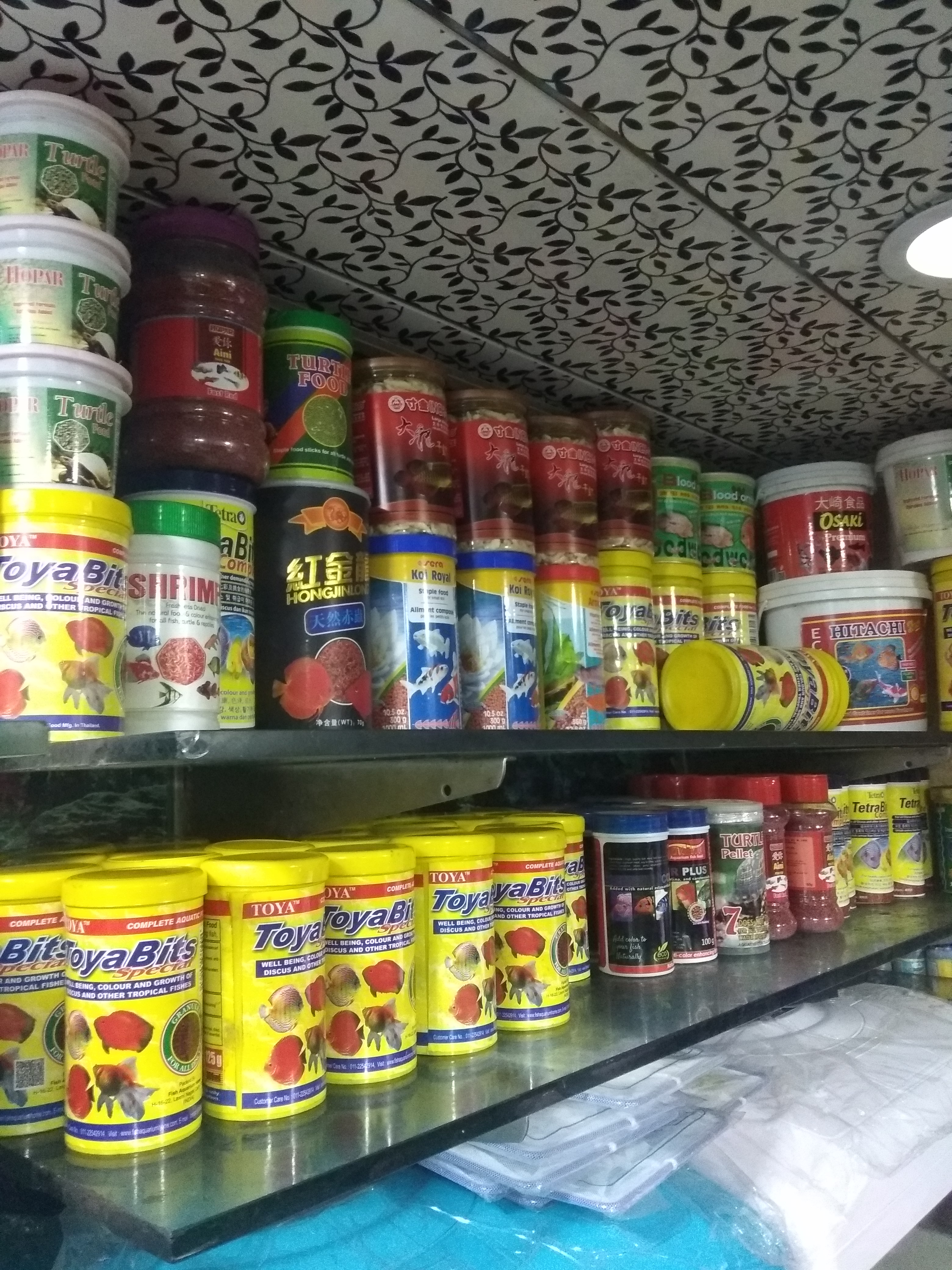 DEEPAK FISH AQUARIUM SHOP, Deepak fish aquarium shop 22D in Chandigarh
