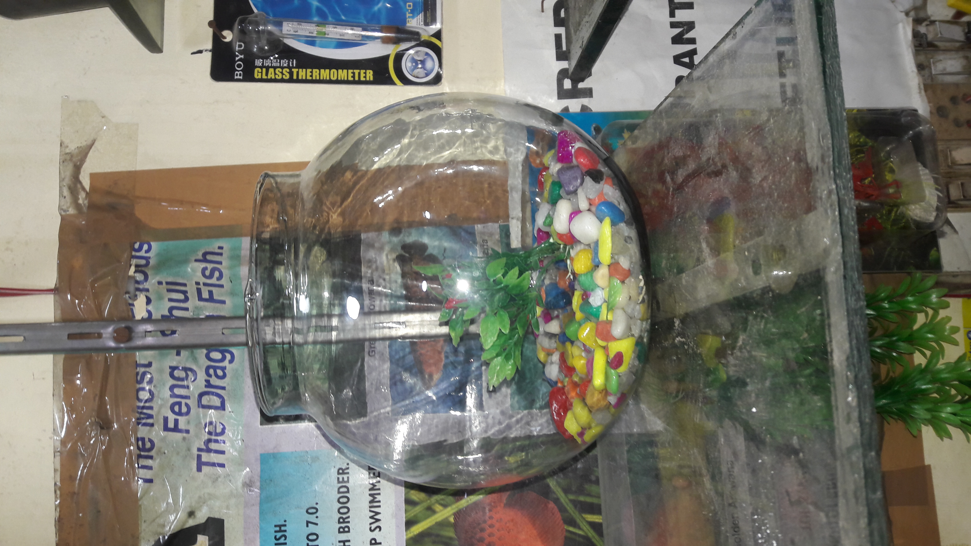 DEEPAK FISH AQUARIUM SHOP, Deepak fish aquarium shop 22D... 9915332799