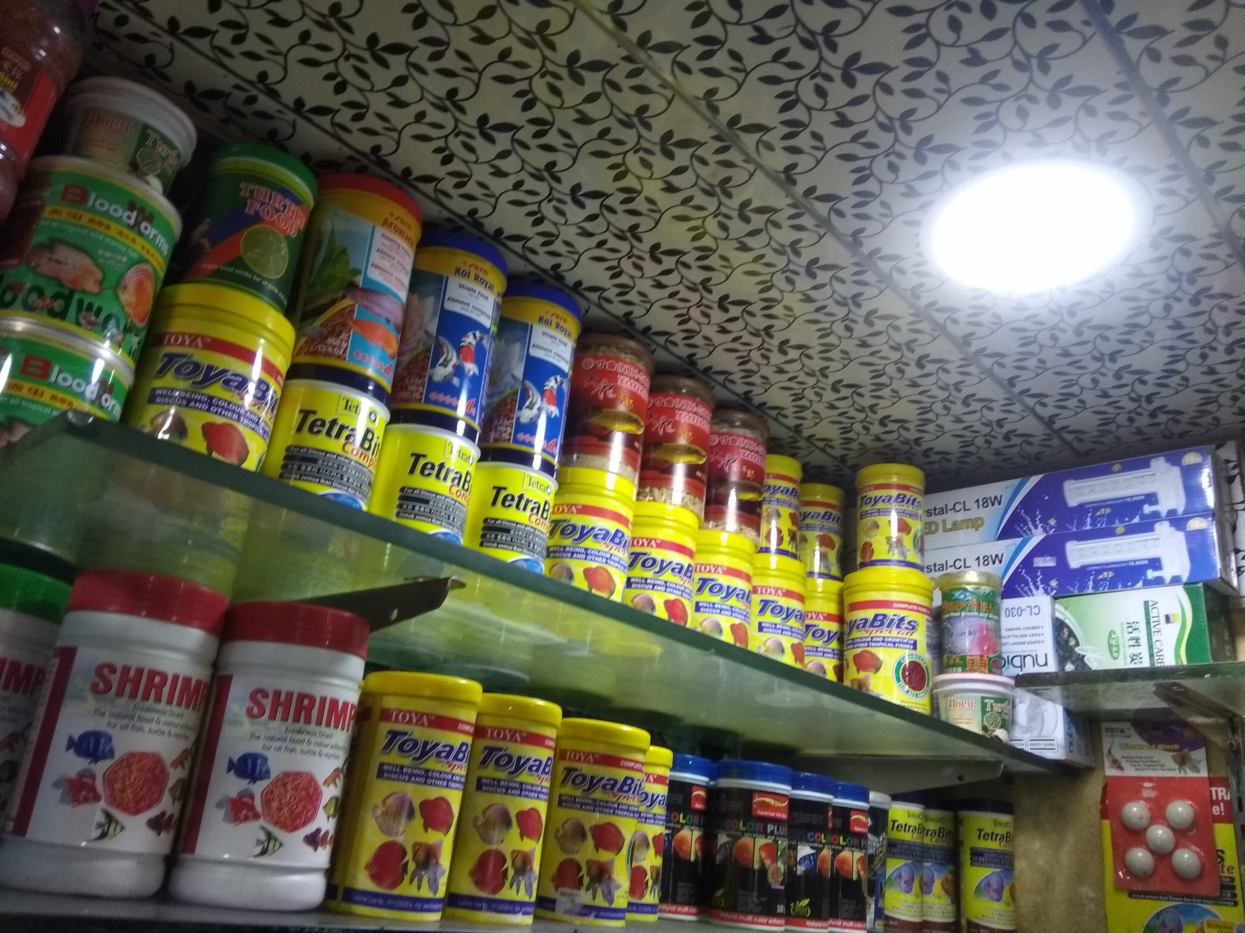 DEEPAK FISH AQUARIUM SHOP, Aquarium shop sector 22 D Chandigarh