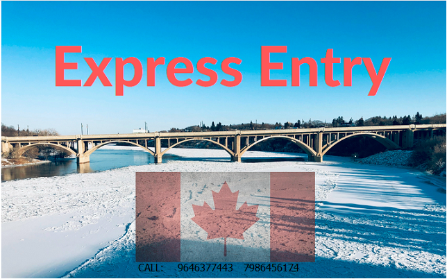 Express Entry-Self employed can apply too - Best Consultant in Panchkula | Transformers Immigration and Education Consultants | Ethical Visa Consultant in Panchkula, Immigration Consultants in Panchkula, TOP immigration Consultants in Panchkula, Top 10 Canada Immigration Consultants in Panchkula, Ethical Canada visa consultant - GL96684