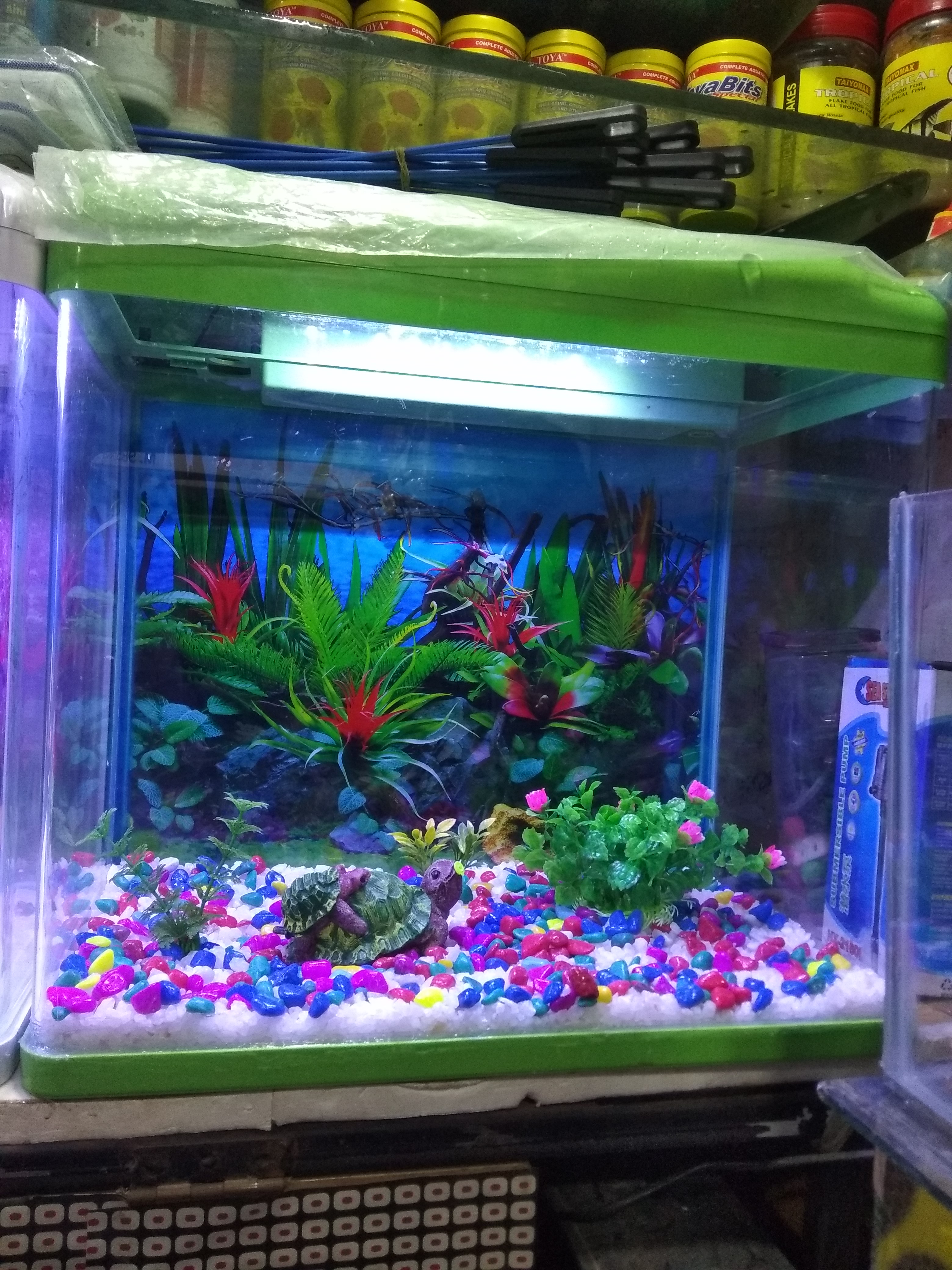 DEEPAK FISH AQUARIUM SHOP, Aquarium shop sector 22 D Chandigarh 9915332799
