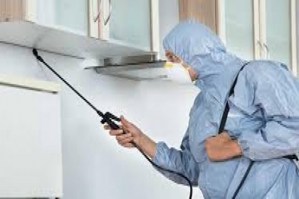 KALINKA PEST CONTROL SERVICES, PEST CONTROL IN BANER, PEST CONTROL SERVICES IN BANER, CORPORATE PEST CONTROL IN BANER, CORPORATE PEST CONTROL SERVICES IN BANER, PEST CONTROL, BEST.