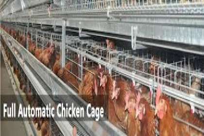 V - Tech Agro Industries, Layer Poultry Cages In Thane, Layer Poultry Cages manufacturer In Thane, best Layer Poultry Cages In Thane, Best Layer Poultry manufacturer Cages In Thane